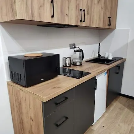 Mieszkanie W Centrum 5 * Katowice